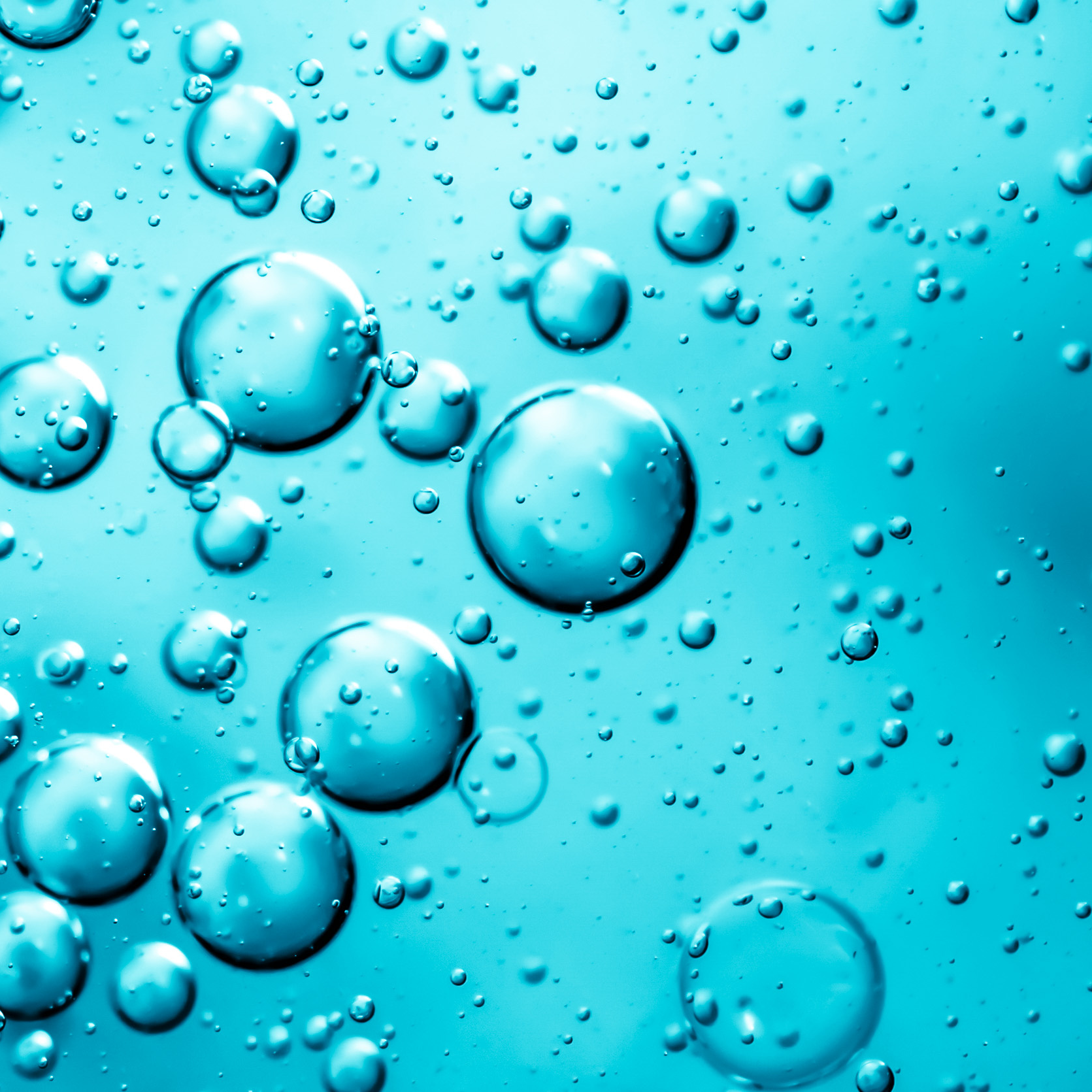 Workshop & Föreläsning