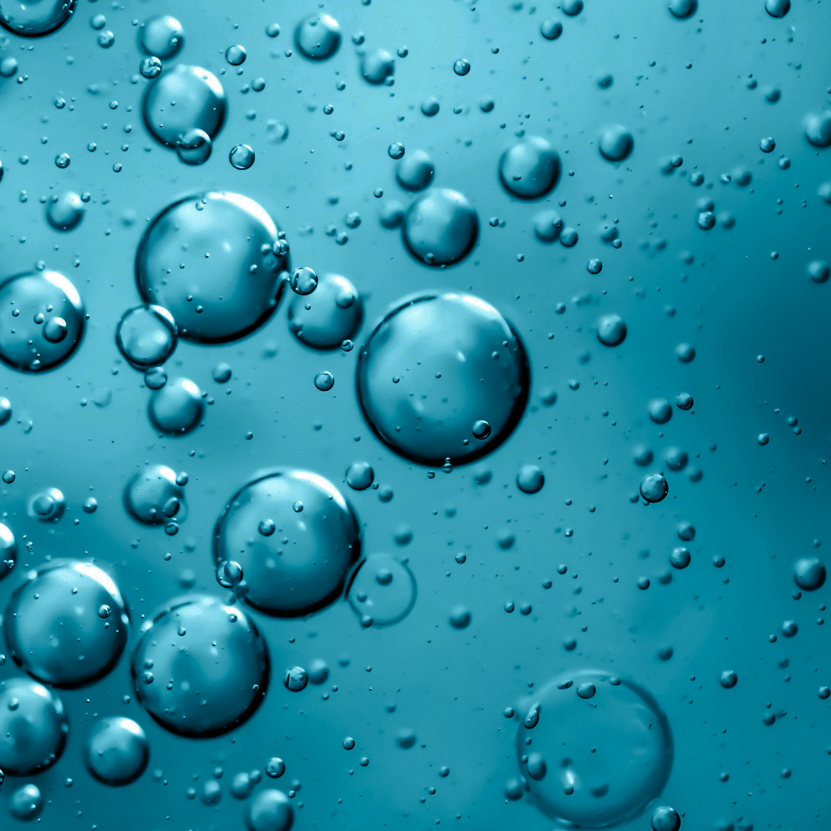 Workshop & Föreläsning